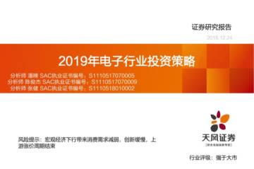 天风 2019年电子行业投资策略.pdf