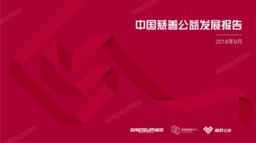 中国慈善公益发展报告.pdf