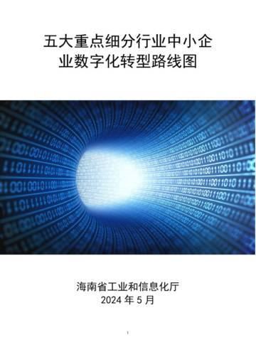 海南省工业和信息化厅：2024五大重点细分行业中小企业数字化转型路线图.pdf