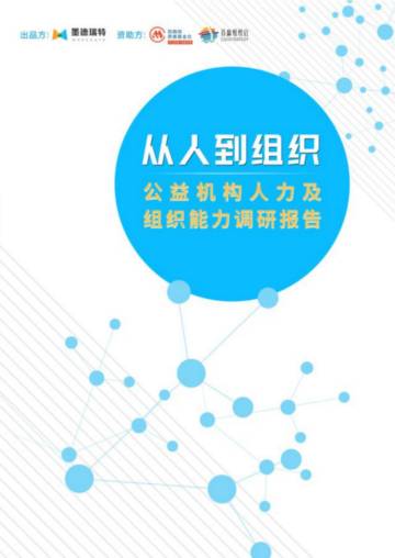 公益机构人力及组织能力调研报告.pdf