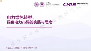 清华大学：电力绿色转型-绿色电力市场的实践与思考.pdf