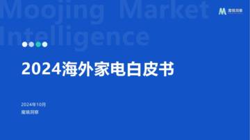 魔镜洞察：2024年海外家电白皮书.pdf