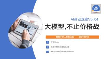 智能小巨人：2024年AI商业观察Vol.04：大模型不止价格战.pdf