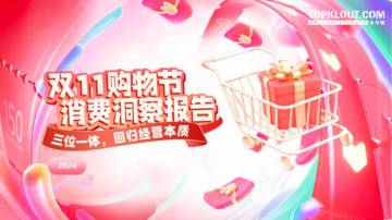 2024年双十一购物节消费洞察报告.pdf