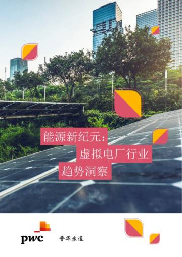 普华永道：2024年能源新纪元系列：虚拟电厂行业趋势洞察篇报告.pdf