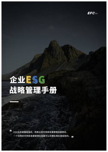 企业ESG战略管理手册.pdf