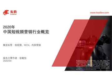 2020中国短视频营销行业概览.pdf