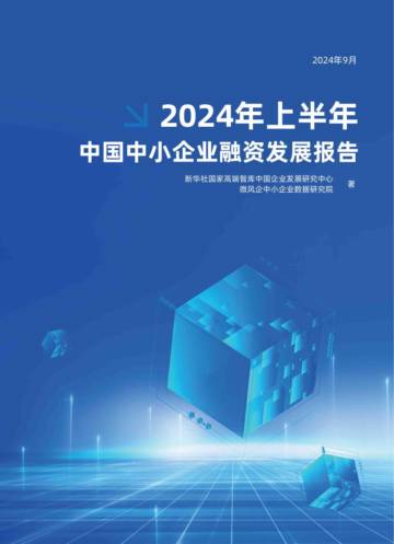 新华社：2024年上半年中国中小企业融资发展报告.pdf