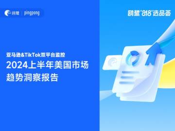 鸥鹭：2024上半年美国市场趋势洞察报告.pdf