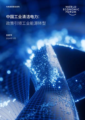 世界经济论坛：2024年中国工业清洁电力政策引领工业能源转型白皮书.pdf
