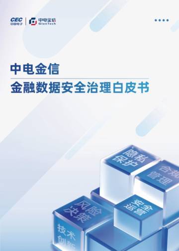 中电金信：中电金信金融数据安全治理白皮书.pdf