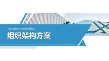 组织发展和变革：组织能力建设之组织架构方案.pdf