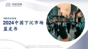 灼识咨询：2024中国下沉市场蓝皮书.pdf