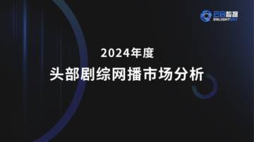 2024年度头部剧综网播市场分析报告.pdf
