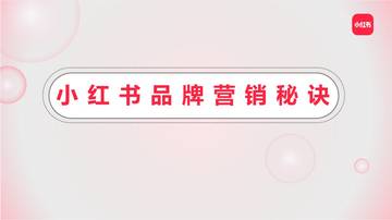 小红书品牌营销秘诀.pdf