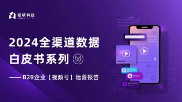 2024B2B企业视频号运营报告.pdf