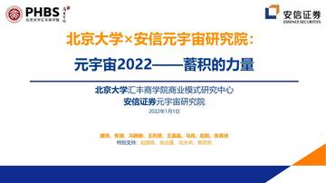 北京大学-2022年元宇宙全球年度报告.pdf