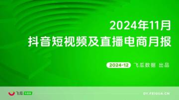 飞瓜：2024年11月抖音短视频及直播电商月报.pdf