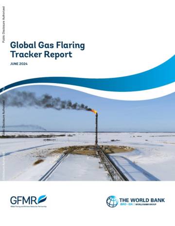 2024年全球天然气燃烧追踪报告（英文）.pdf
