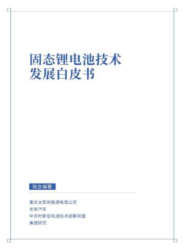 2024年固态锂电池技术发展白皮书.pdf