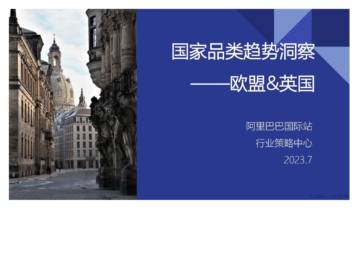 阿里巴巴国际站：2023年国家品类趋势洞察报告——欧盟&英国.pdf