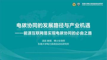 东南大学：2024年电碳协同下的发展路径与产业机遇——能源互联网是实现电碳协同的必由之路报告.pdf