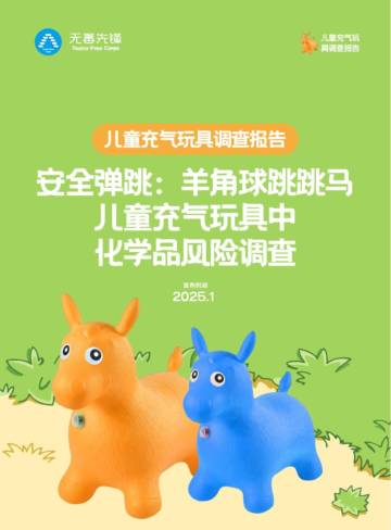 2025年儿童充气玩具调查报告（跳跳马&羊角球）.pdf