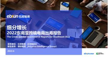 细分增长 2022东南亚跨境电商出海报告.pdf