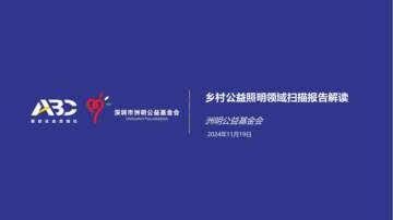 2024年乡村照明领域扫描报告.pdf