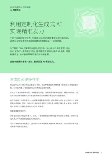 IBM：利用定制化生成式AI实现精准发力.pdf