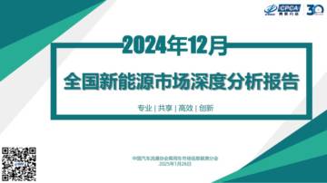 2024年12月份全国新能源市场深度分析报告.pdf