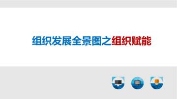 OD组织发展全景图之组织赋能.pdf