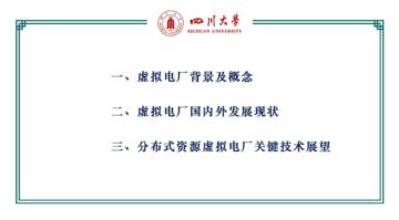 2024年分布式资源虚拟电厂运行控制技术展望报告.pdf