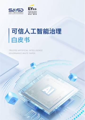 2025可信人工智能治理白皮书.pdf