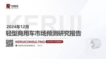 2024年12月轻型商用车市场预测研究报告.pdf