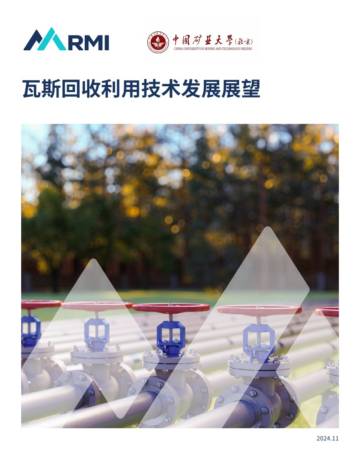 落基山研究所：2024年瓦斯回收利用技术发展展望报告.pdf