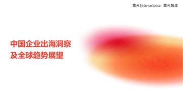 2024年中国企业出海洞察及全球趋势展望报告.pdf