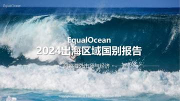 2024出海区域国别报告.pdf