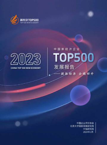2023中国新经济企业TOP500发展报告.pdf