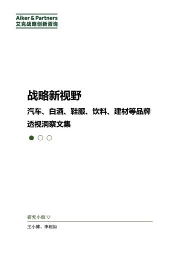 艾克战略创新咨询：战略新视野：汽车、白酒、鞋服、饮料、建材等品牌透视洞察文集.pdf
