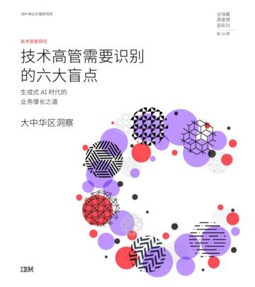 IBM：2024高管调研-技术高管需要识别的六大盲点报告.pdf