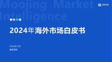 2024年海外市场白皮书.pdf