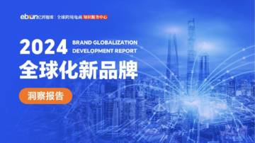 2024全球化新品牌洞察报告.pdf