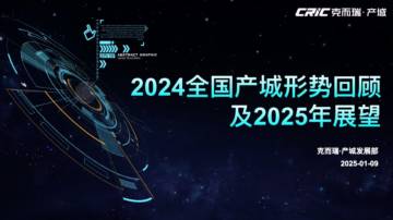 2024年全国产城市场回顾与2025年展望.pdf