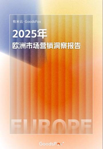 2025年欧洲市场营销洞察报告.pdf