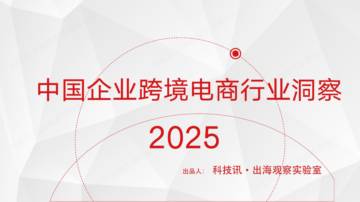 2025中国企业跨境电商行业洞察.pdf