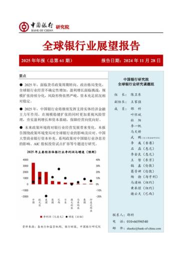 中国银行：全球银行业展望报告（2025年）.pdf