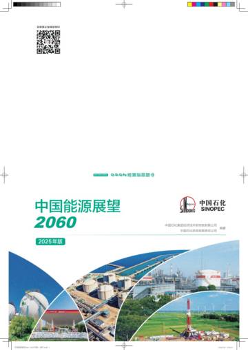 中国能源展望2060（2025年版）.pdf