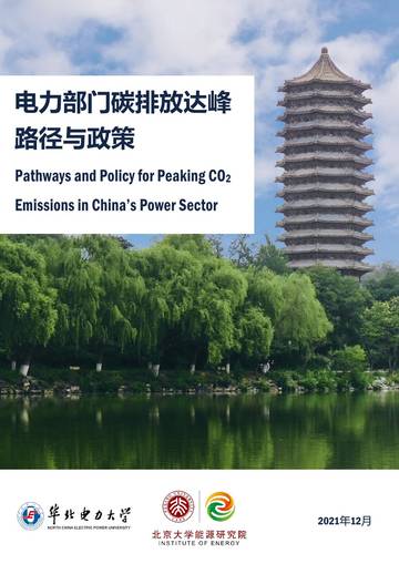 电力部门碳排放达峰路径与政策研究.pdf