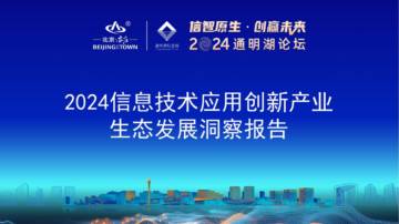 2024年信息技术应用创新产业生态发展洞察报告.pdf